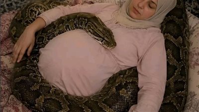 تنام امرأة حامل بجوار أفعاها الأليفة الضخمة كل ليلة، وكانت الأفعى تلتف دائمًا حول بطنها دون أن تبتعد عنه ولو لثانية واحدة